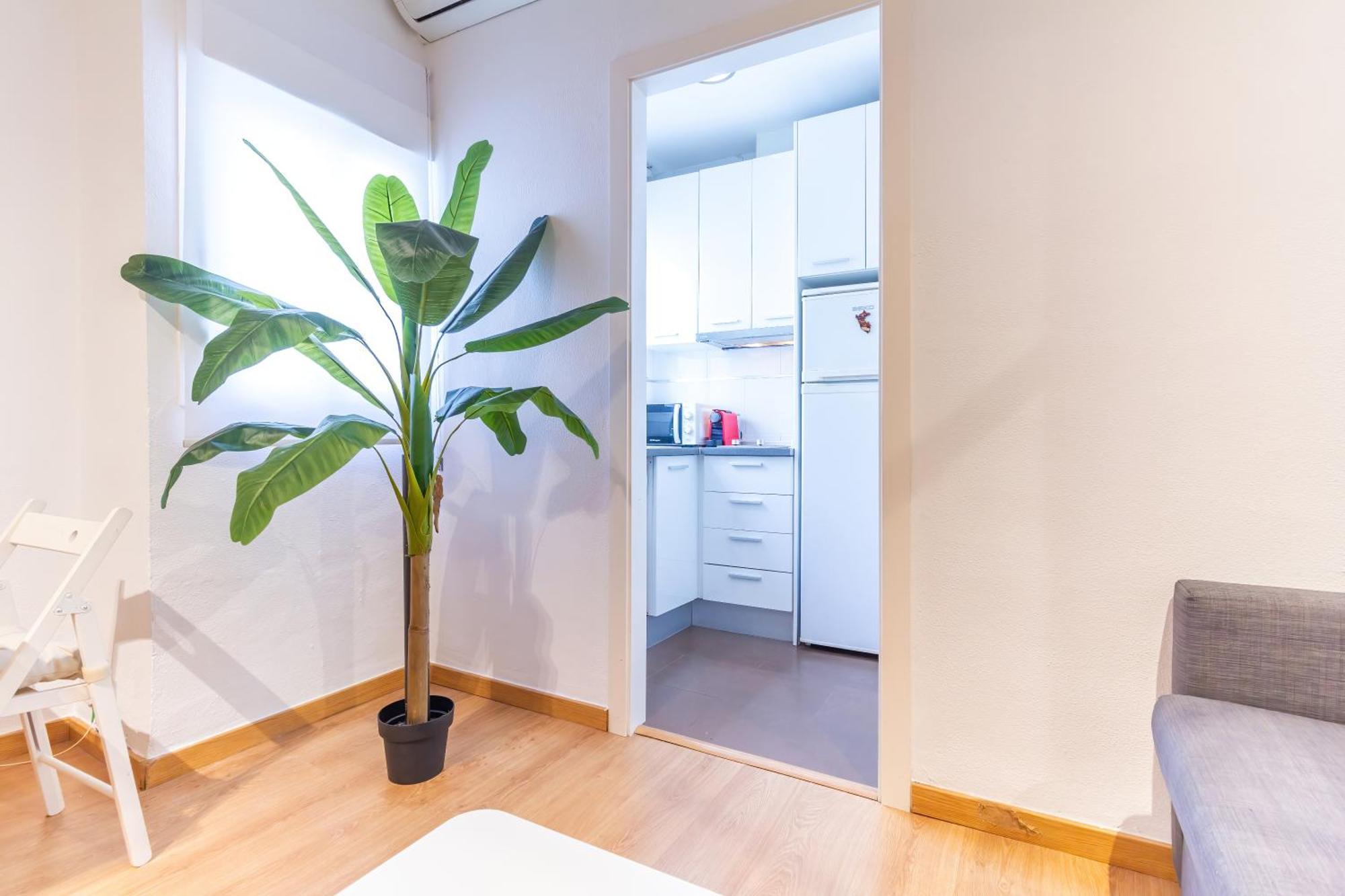 Apartament Alohamundi Carlos Canal *